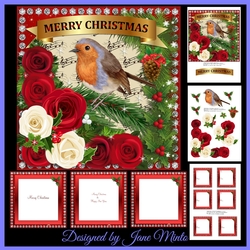 ROBIN & CHRISTMAS ROSES MINI KIT