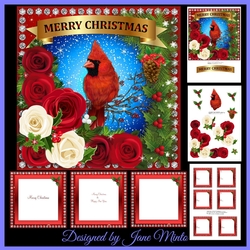 CHRISTMAS CARDINAL