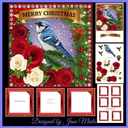 CHRISTMAS BLUE JAY MINI KIT