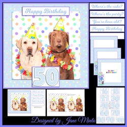 PARTY ANIMALS MINI KIT