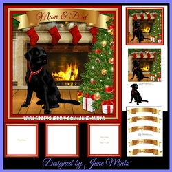 BY THE FIREPLACE