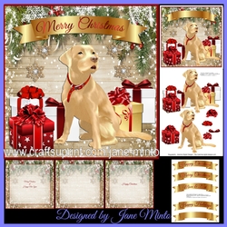 GOLDEN LABRADOR 