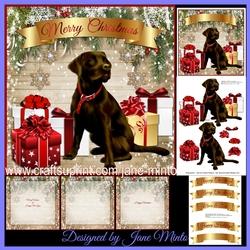 CHOCOLATE LAB