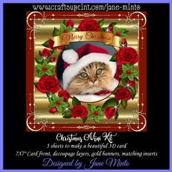 CHRISTMAS MINI KIT - CAT IN THE HAT 