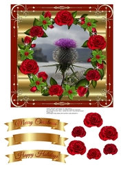 SCOTTISH THISTLE