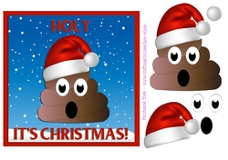 CHRISTMAS POO