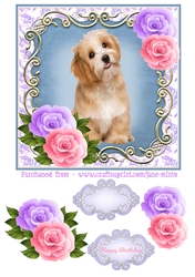 SHAGGY PUP quick card sheet