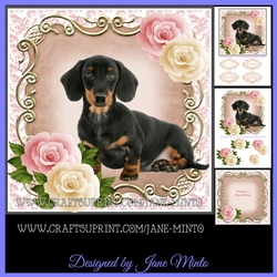 DACHSHUND dog mini kit