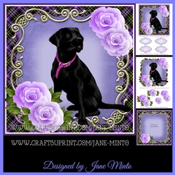 BLACK LABRADOR mini kit