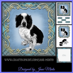 WELSH SPRINGER SPANIEL mini kit for men