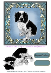 WELSH SPRINGER SPANIEL quick card sheet