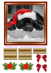SLEEPING DOG AT CHRISTMASTIME