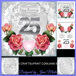 SILVER 25TH WEDDING ANNIVERSARY MINI KIT