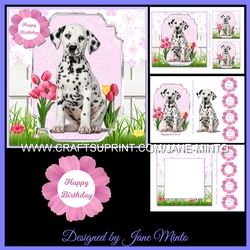 DALMATIAN PUPPY