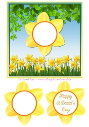 ST DAVIDS DAY quick card sheet