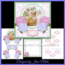 CAT & FLOWERS MINI KIT