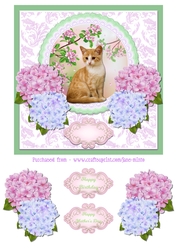 CAT & FLOWERS