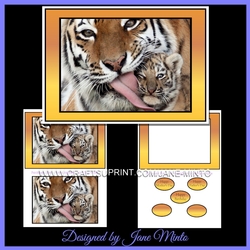 TIGER & CUB