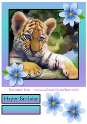 TIGER CUB 8x8