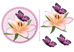 BUTTERFLY TOPPER 6