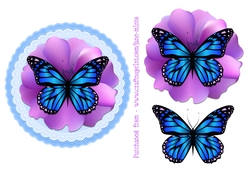 BUTTERFLY TOPPER 8