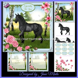 BLACK BEAUTY