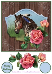 FRAMED HORSE & ROSES