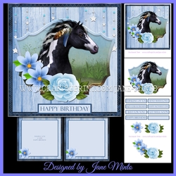 FRAMED INDIAN HORSE MINI KIT