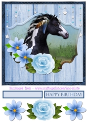 FRAMED INDIAN HORSE QUICK CARD SHEET