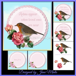 ROBINS APPEAR 2