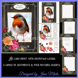 ROSEY ROBIN