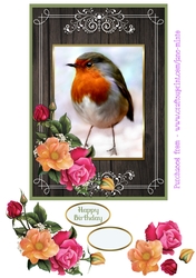 ROBIN WITH ROSES QUICK CARD SHEET A5