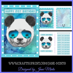 COOL PANDA MINI KIT 5x7