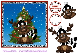 NEWCASTLE FOOTBALL REINDEER
