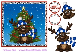 LEICESTER CITY FOOTBALL REINDEER
