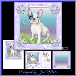 FRENCHIE MINI KIT 1