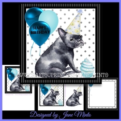 FRENCH BULLDOG MINI KIT 3