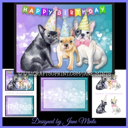 PARTY ANIMALS MINI KIT 7x5