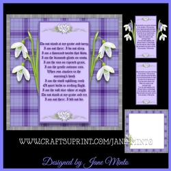 SYMPATHY SNOWDROPS