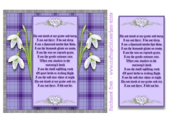 SYMPATHY SNOWDROPS QUICK CARD