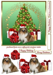 SANTAS BEEN