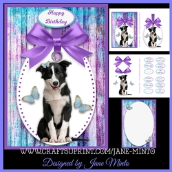 5x7 BORDER COLLIE & BUTTERFLIES