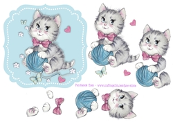 SWEET KITTY BLUE