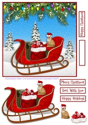 GINGER CAT ON THE SLEIGH