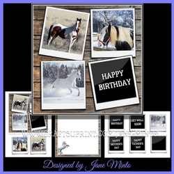 HORSE PHOTOS