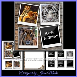 TERRIFIC TIGERS