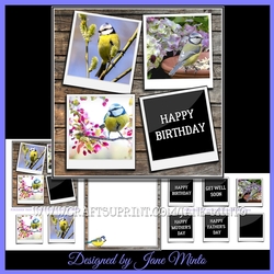 BLUE TIT PHOTOS