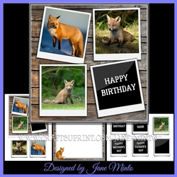 MR FOX