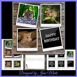 THREE CUTE MICE