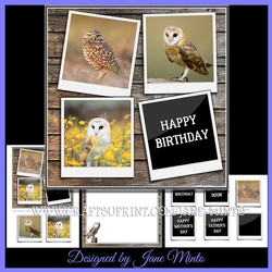 WISE OWLS